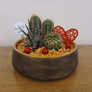 Large Round Colored Pot