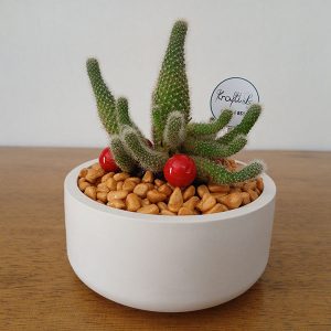 Small Round Pot