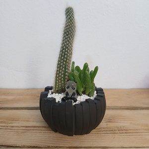 Asymmetric Black Pot